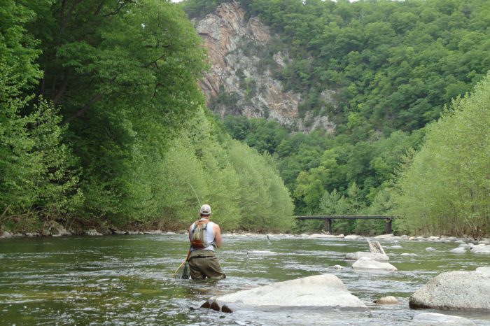 Can't Miss Trout Streams in WV: 11 Popular Fly Fishing Spots