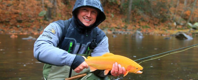 West Virginia Trout Fishing: Fly Fishing At Harman's Log Cabins